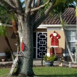 December 2019 - Linda Derr - 7580 Cameron